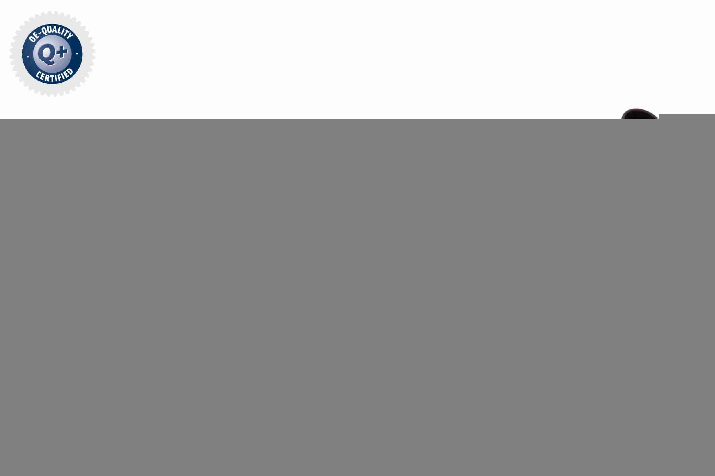 VEMO Indsprøjtningsdyse V10-11-0058 V10-11-0058 Indsprøjtningsdyse VEMO FIAT PALIO