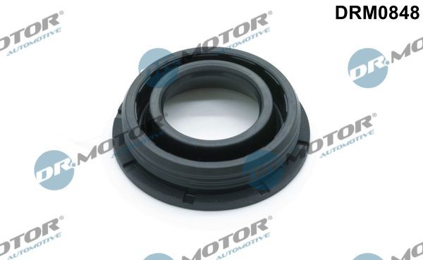 LIZARTE Pakking, verstuiverhouder DRM0848 DRM0848 Dichtring verstuiverhouder FORD MONDEO LIZARTE