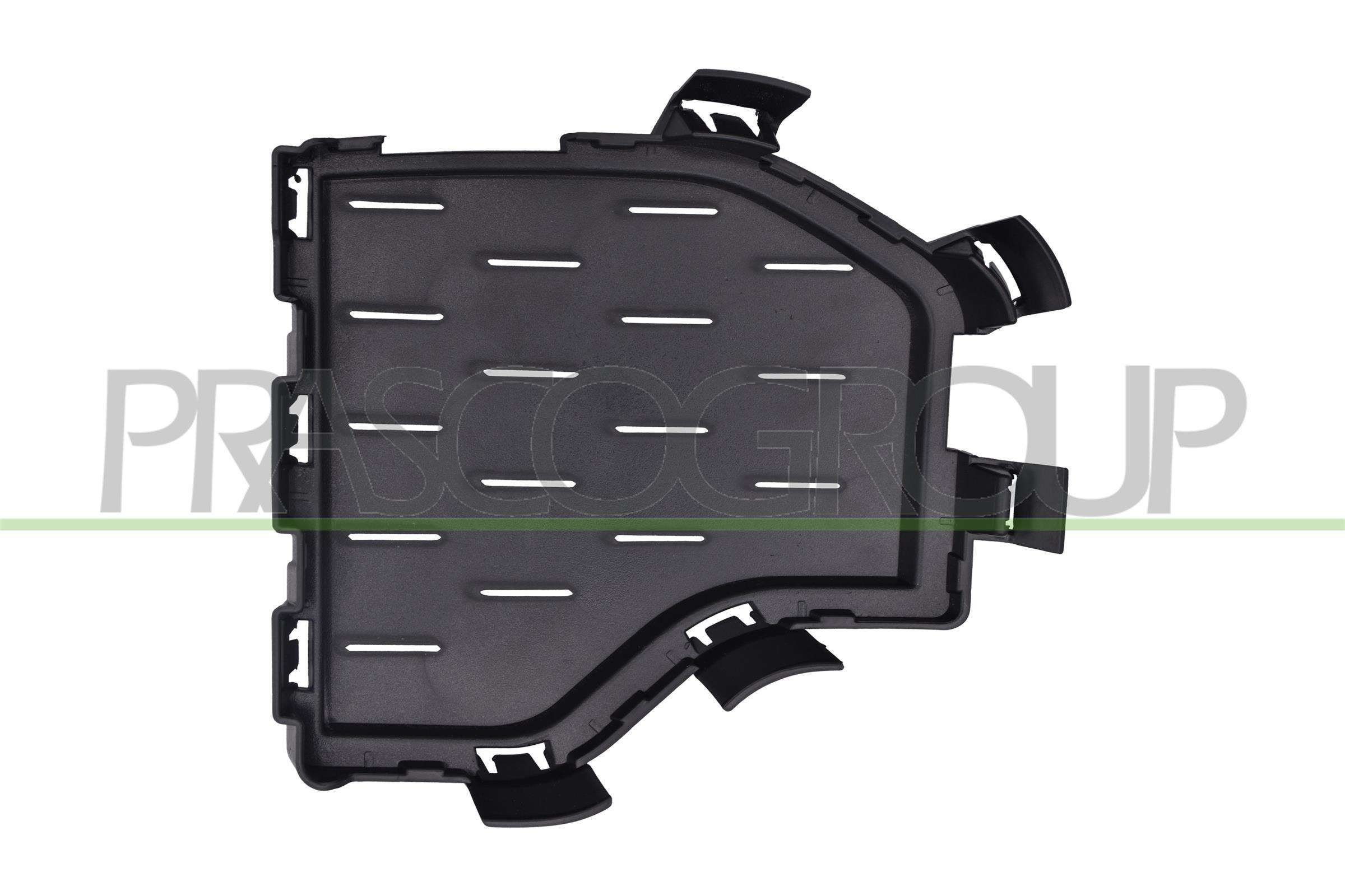 PRASCO Kofangergitter BM8292103 PRASCO BM8292103 Kofangergitter BMW X5 (G05) xDrive 30 d Mild-Hybrid 286 HK 2020
