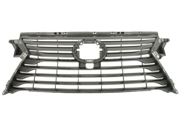 Radiatorgitter BLIC 6502-07-8123994P BLIC 6502-07-8123994P Front grill LEXUS IS 2004