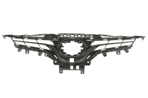 Griglia radiatore BLIC 6502-07-8167996P BLIC 6502-07-8167996P Griglia radiatore TOYOTA CAMRY 2008