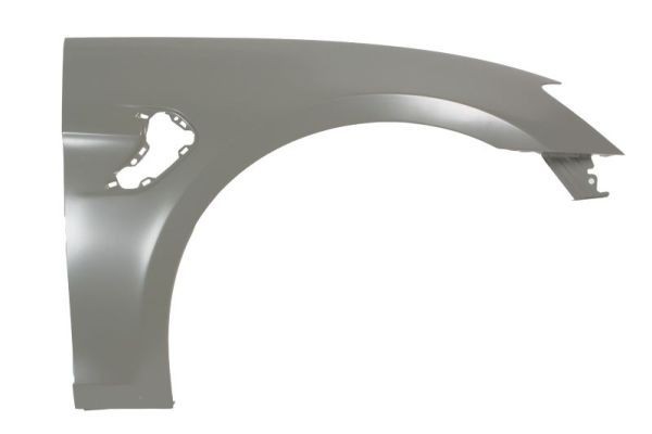BLIC Kotflügel 6504-04-7903312P BLIC 6504-04-7903312P Seal Limousine EV 2022 TZ200XYC Elektromotor 313