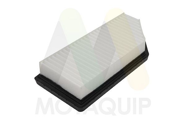 MOTAQUIP Luftfilter LVFA1755 LVFA1755 MOTAQUIP Luftfilter Chevrolet billige