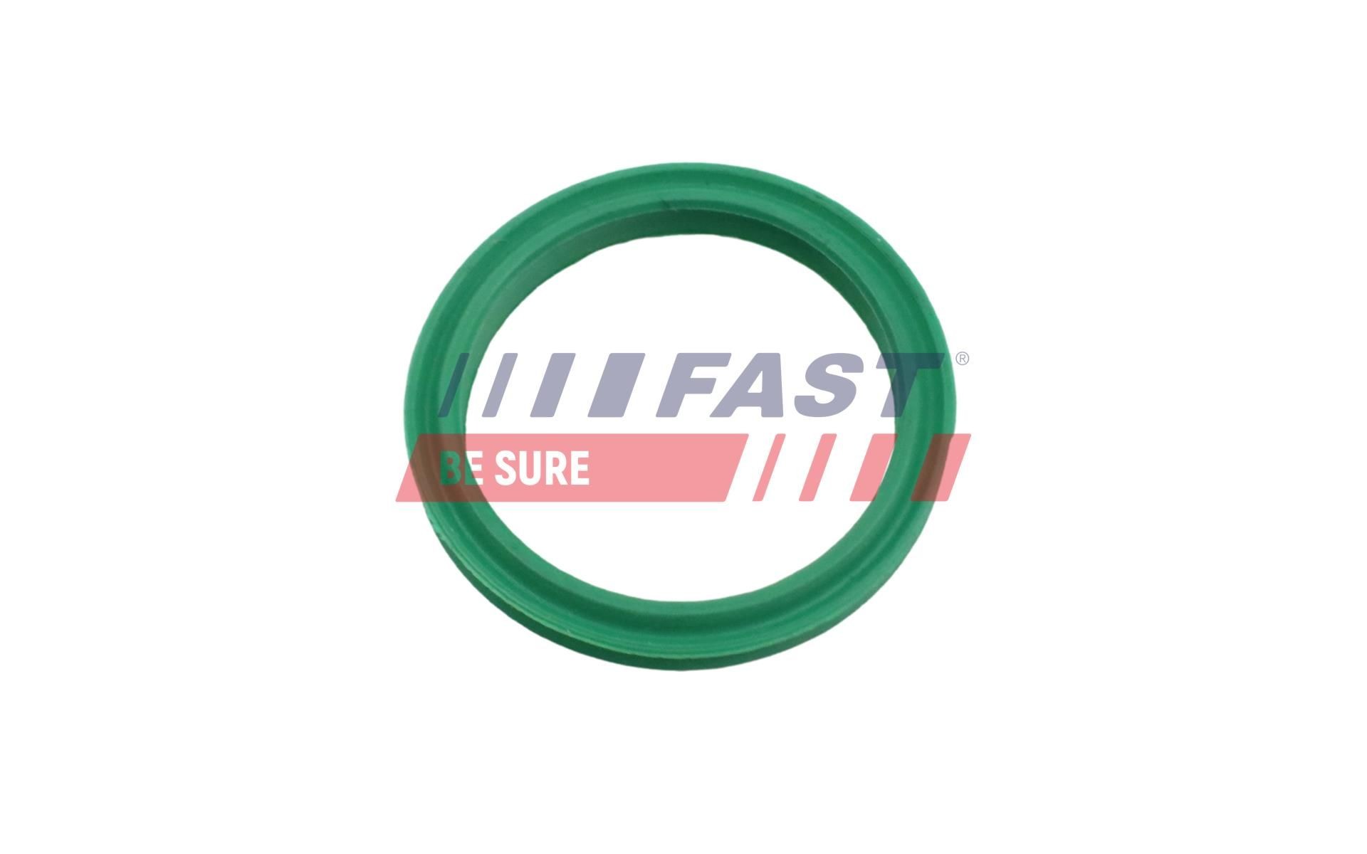 FAST Ladeluftschlauch-Dichtung FT48962 FT48962 Dichtring, Ladeluftschlauch FAST MINI CLUBMAN