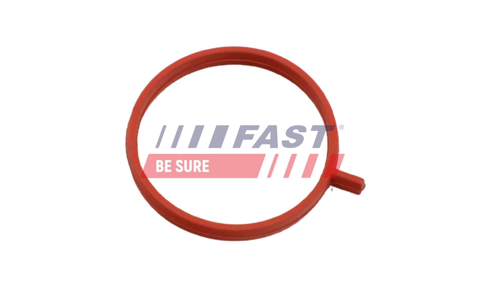 FAST Blīvgredzens, Gaisa pūtes caurule FT48963 FT48963 Blīvgredzens, gaisa pūtes caurule OPEL KADETT FAST