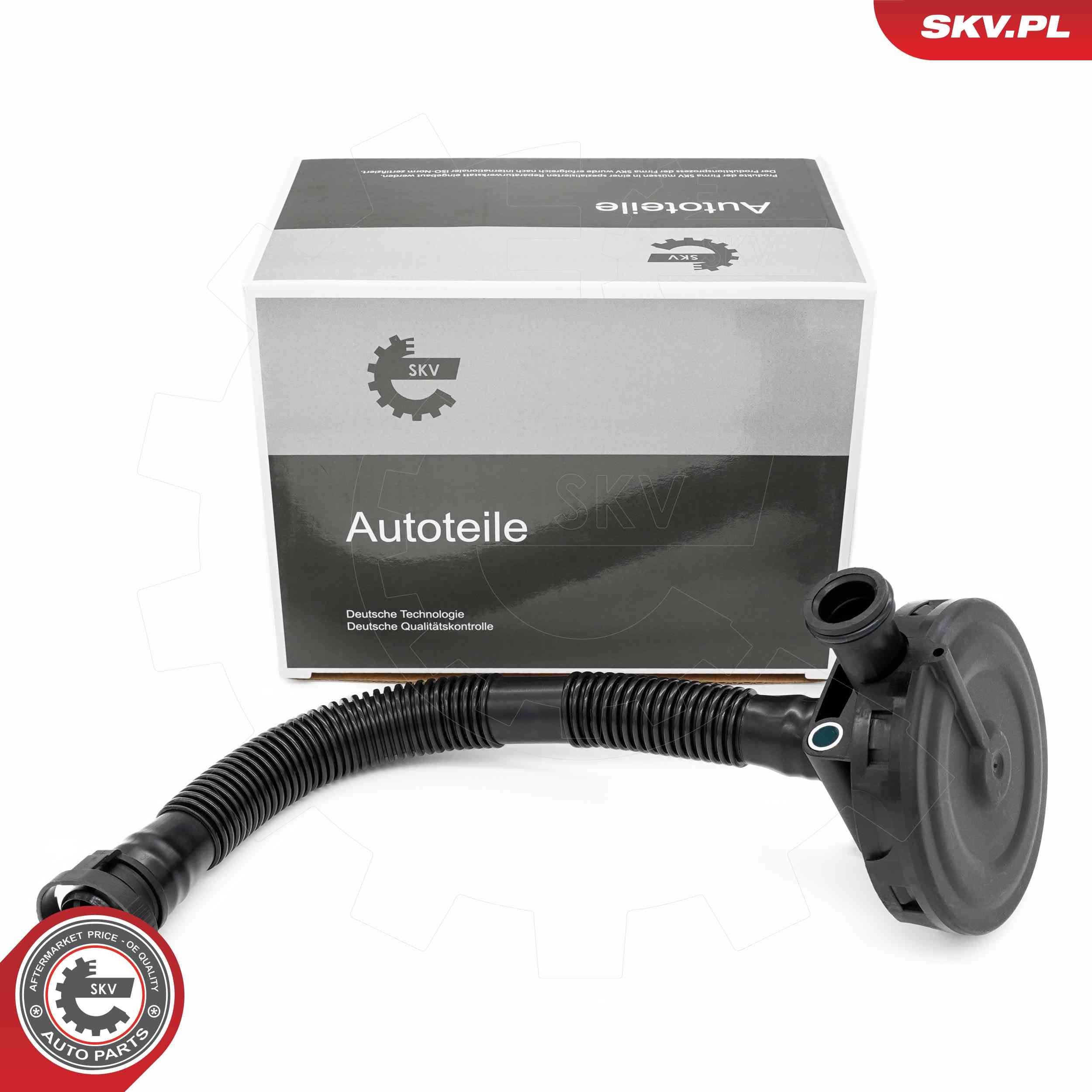 Βαλβίδα, εξαερισμός μπλοκ κινητήρα ESEN SKV 31SKV410 ESEN SKV 31SKV410: βαλβίδα αναθυμιάσεων PCV Škoda RAPID 2011