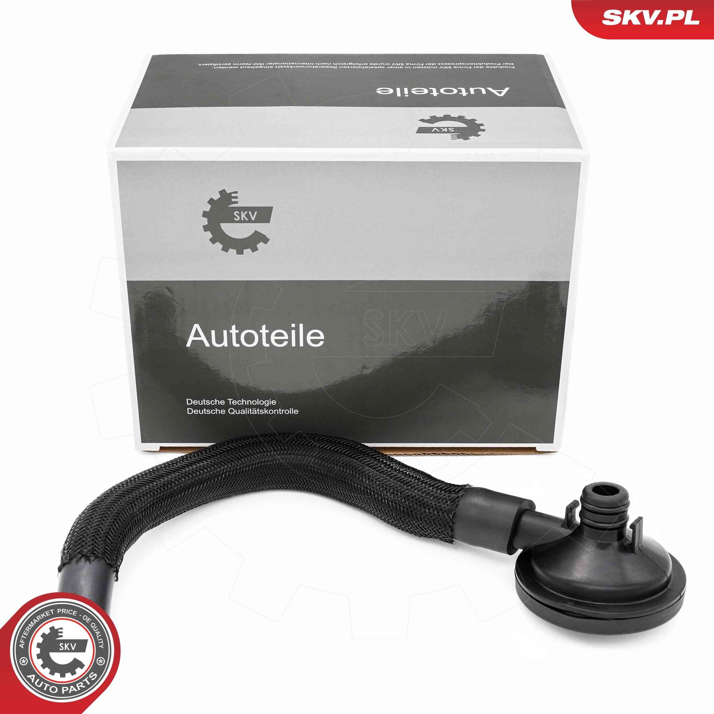 ESEN SKV Venttiili, kampikammiotuuletus 31SKV420 BMW Z4 huohotin ESEN SKV 31SKV420
