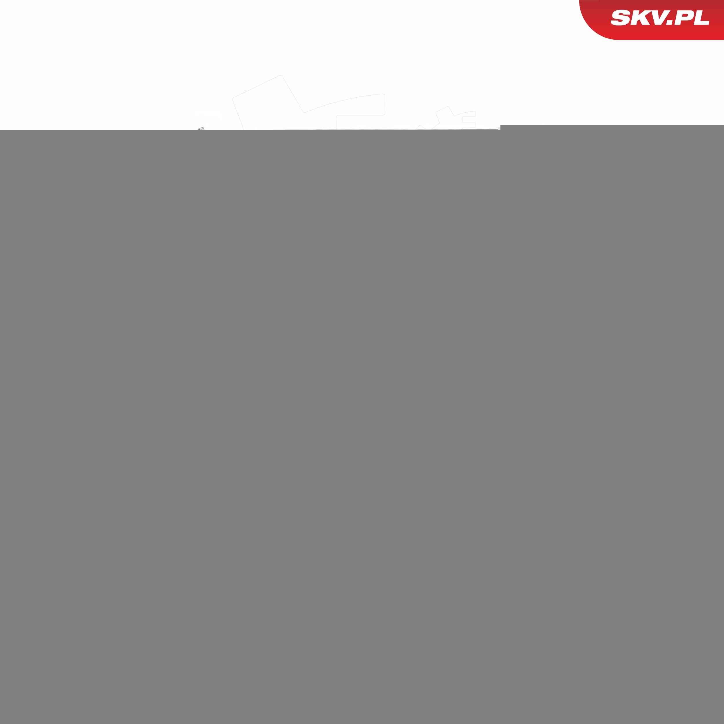 ESEN SKV Osvetlenie poznávacej značky 72SKV529 72SKV529 Żiarovka osvetlenia żpz ESEN SKV TOYOTA AURIS