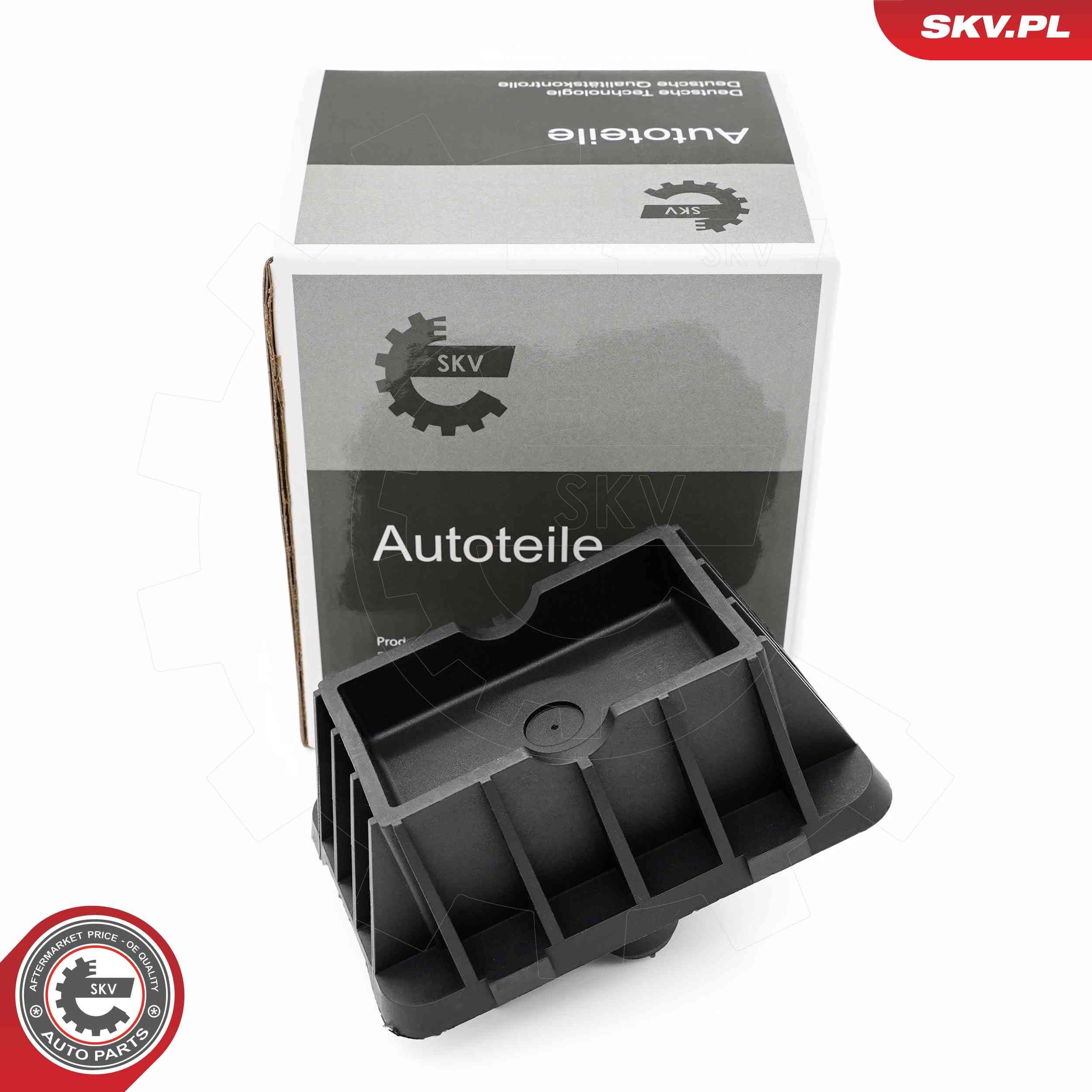 ESEN SKV Υποδοχή, γρύλος 96SKV295 ESEN SKV 96SKV295 γνήσια Υποδοχή, γρύλος BMW F10 Sedan κόστος