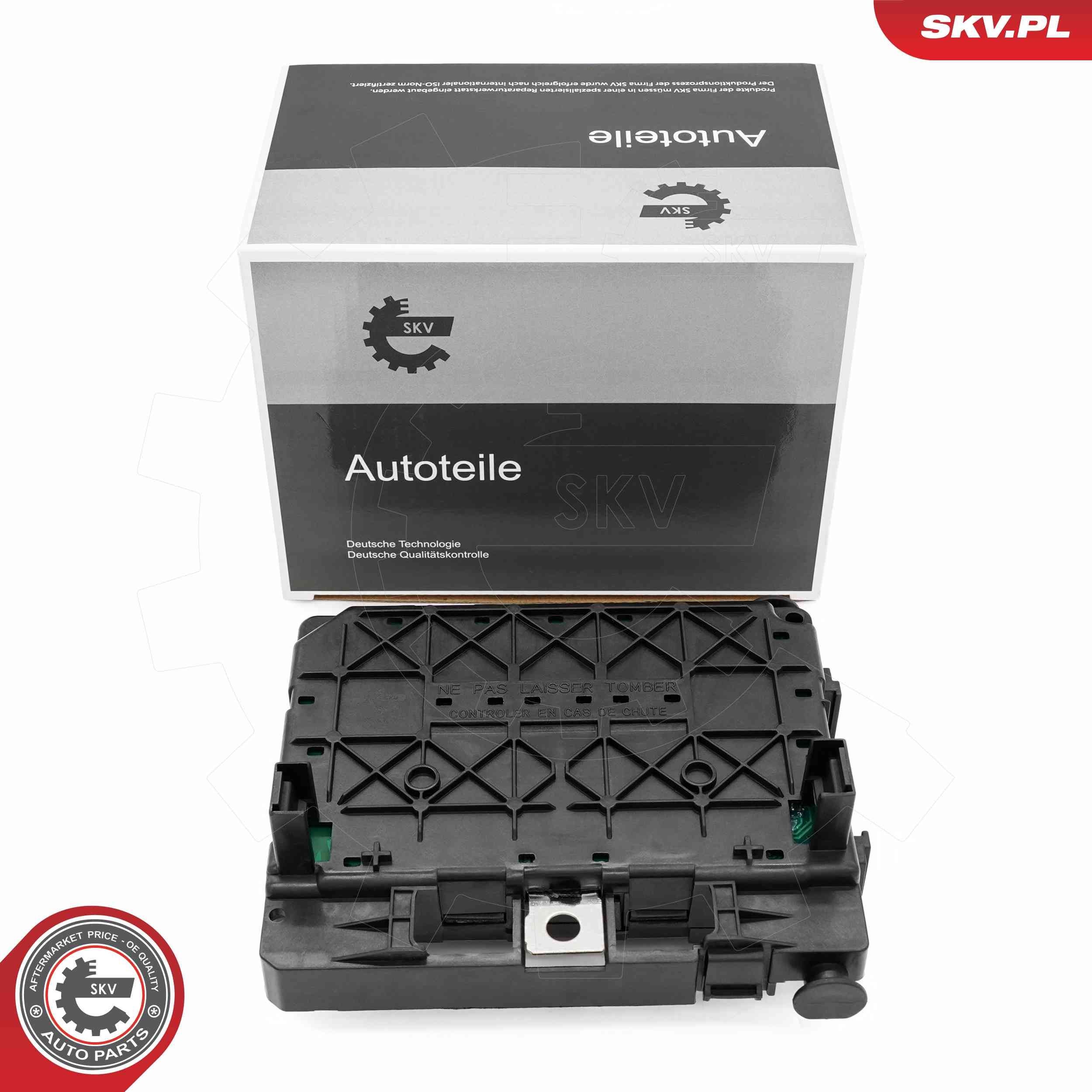 ESEN SKV Styreenhed, motormanagement 96SKV324 ESEN SKV 96SKV324 Styreenhed, motormanagement
