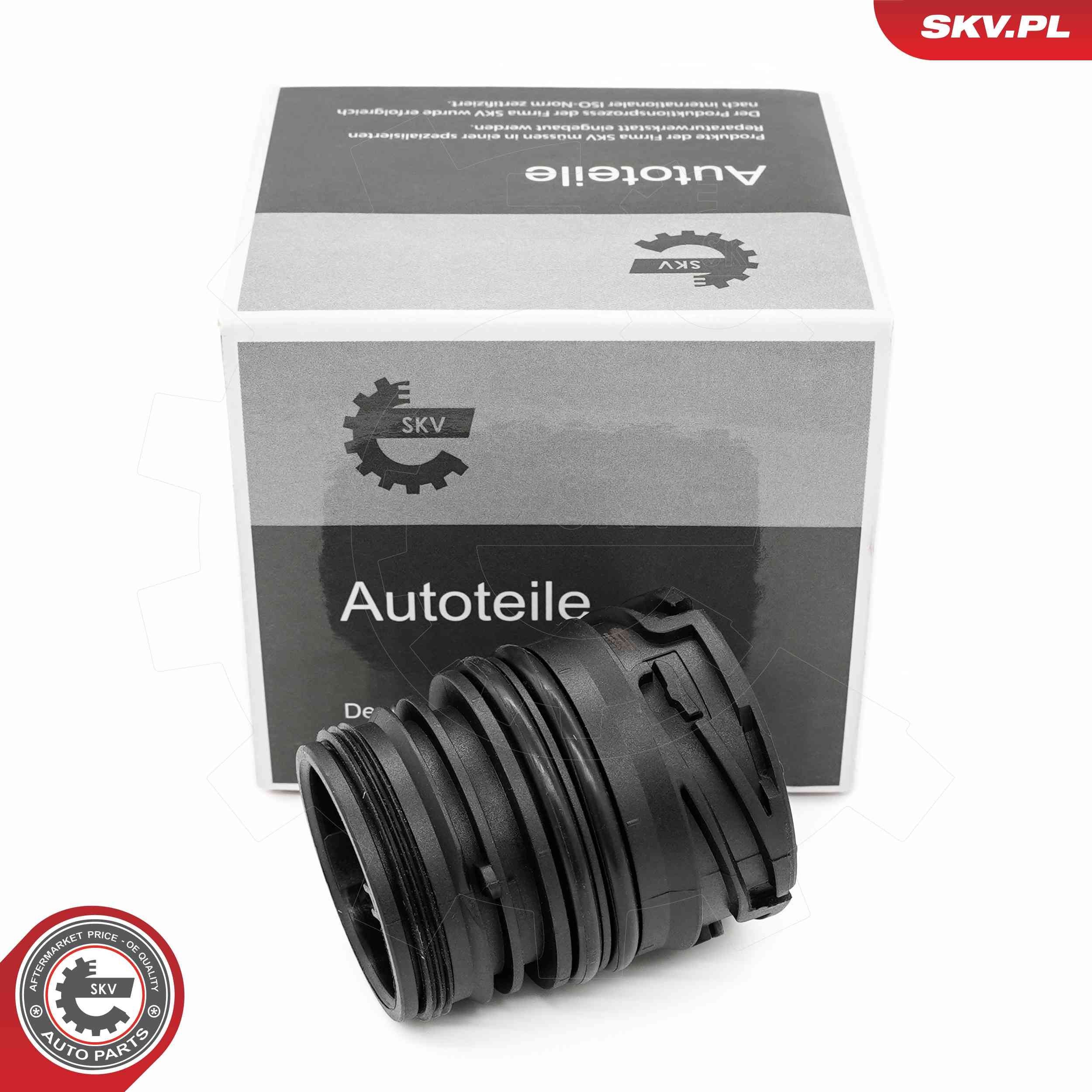 ESEN SKV Alloggiamento presa, Cambio automatico-Centralina 96SKV415 96SKV415 Centralina, cambio automatico ESEN SKV Tesla