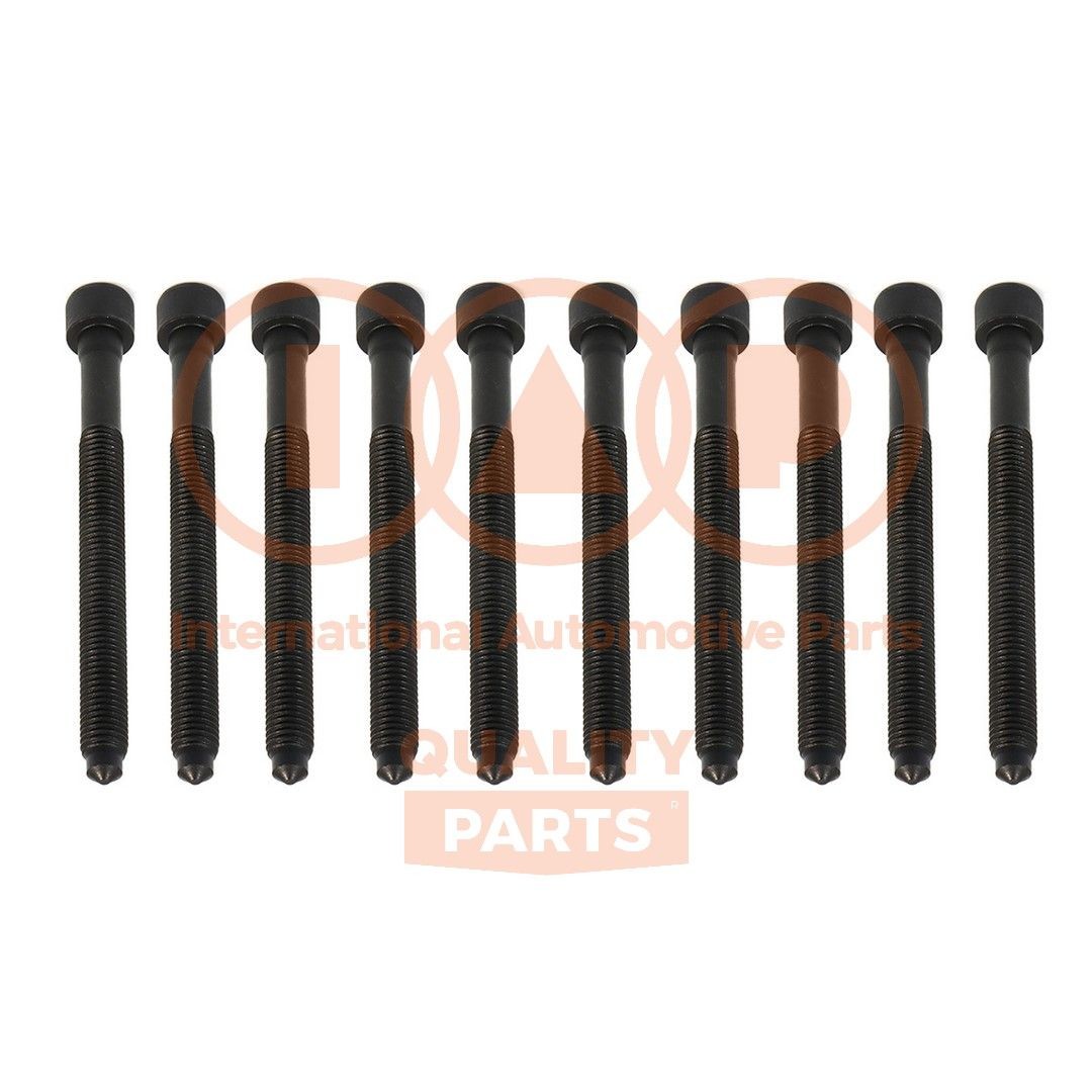 IAP QUALITY PARTS Kit bulloni testata 119-50031 119-50031 Bulloni testata IAP QUALITY PARTS Volkswagen TOURAN costo