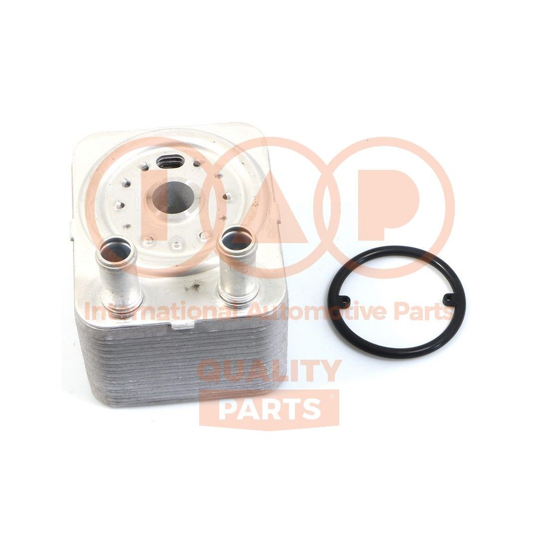IAP QUALITY PARTS Õliradiaator, mootoriõli 159-12055 Õlijahuti IAP QUALITY PARTS MONDEO 159-12055 odav