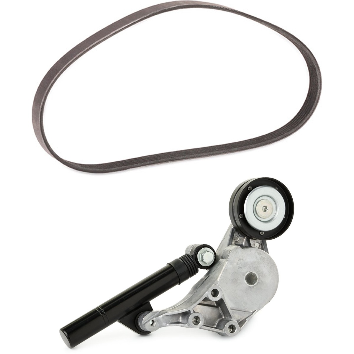 RIDEX PLUS Keilrippenriemensatz 542R0223P Keilrippenriemensatz RIDEX PLUS Volkswagen TOURAN 542R0223P