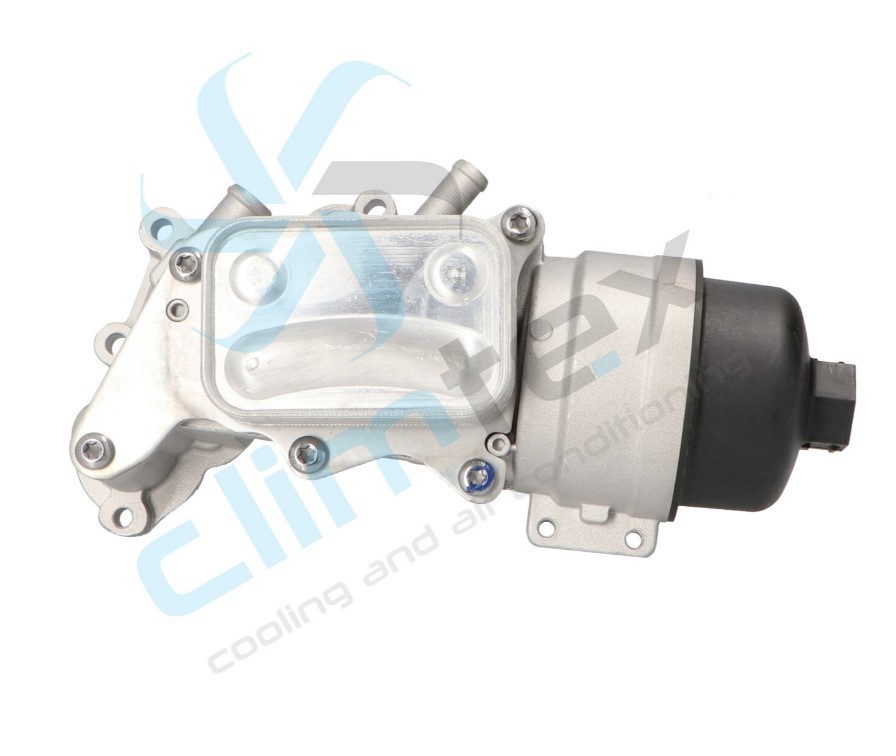 CLIMTEX Radiatore olio motore CH8-282 CH8-282 costo Radiatore olio CLIMTEX PEUGEOT 306