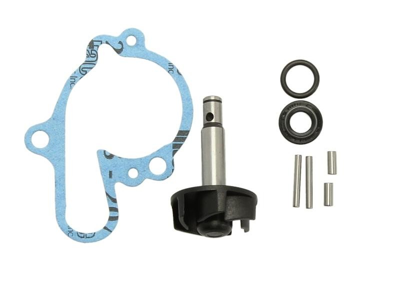 RMS Kit de reparação, bomba de água 10 011 0081 10 011 0081 Culaça CITROËN C3 RMS
