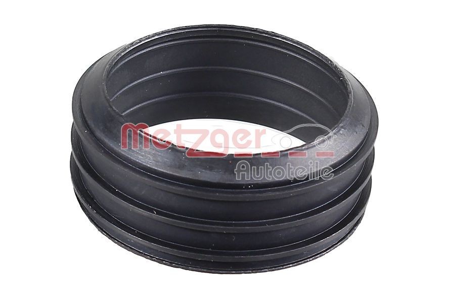 METZGER Pakning, indsugningsmanifoldhus 2430161 Indsugningsmanifold pakning AUDI METZGER 2430161