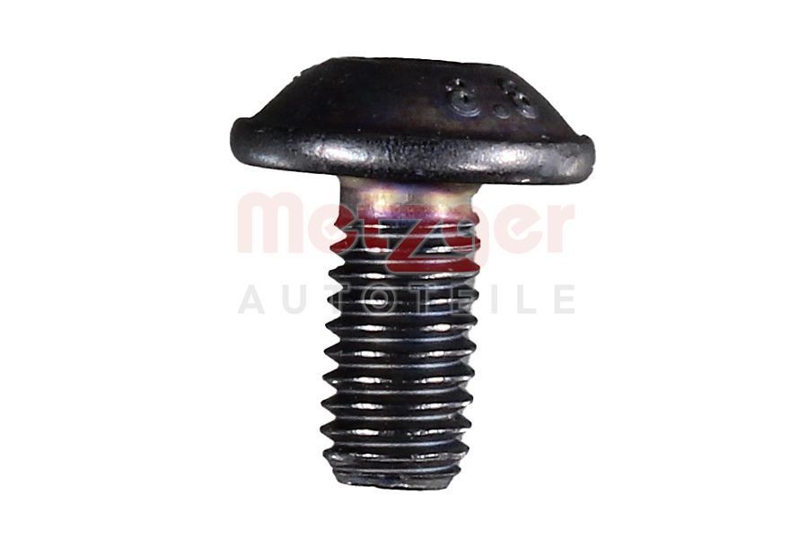 METZGER Parafuso, chapa de respingos (disco de travão) 6119001 Kit de reparação, eixo do travão de estacionamento Jeep WJ, WG 6119001 METZGER