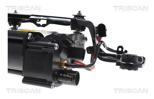 TRISCAN Compressor de suspensão a ar 8725 11105 Suspensão a ar TRISCAN Seat ALHAMBRA 8725 11105