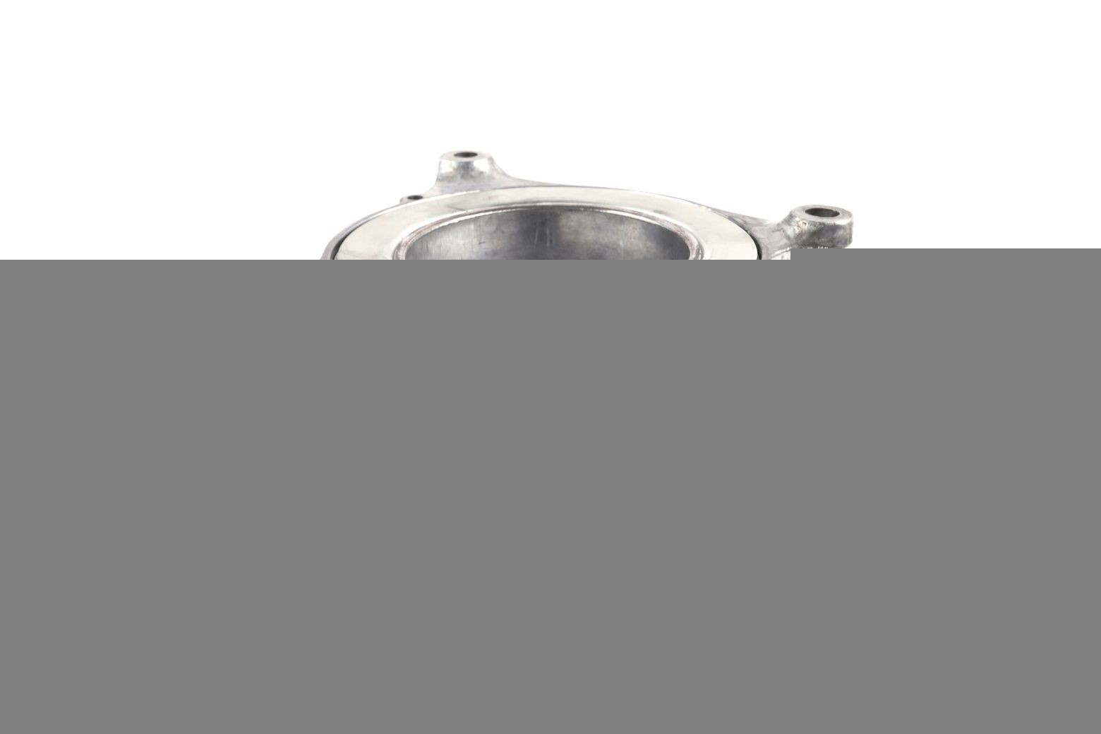 Riemspanner, Poly V-riem BOGAP B1317117 BOGAP B1317117: Riemspanner BMW X6 2020