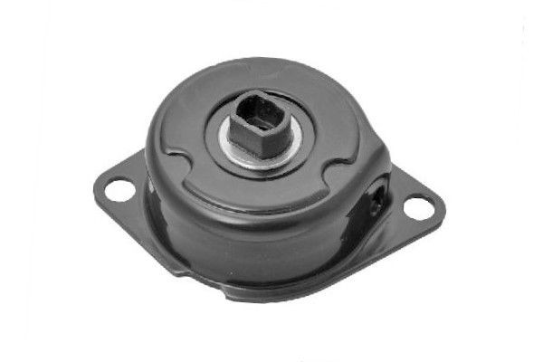 GOOM Galet tendeur de courroie d'accessoire BT-0022 Tendeur de courroie d'alternateur GOOM EXEO BT-0022 pas cher