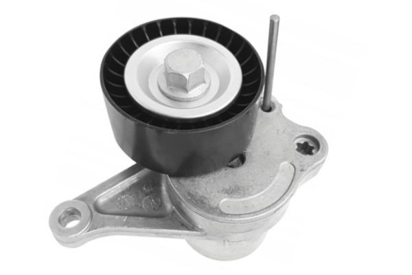 GOOM Napinák rebrovaného klinového remeňa BT-0058 BT-0058 GOOM Napínacie rameno rebrovaného klinového remeňa Chevrolet lacné