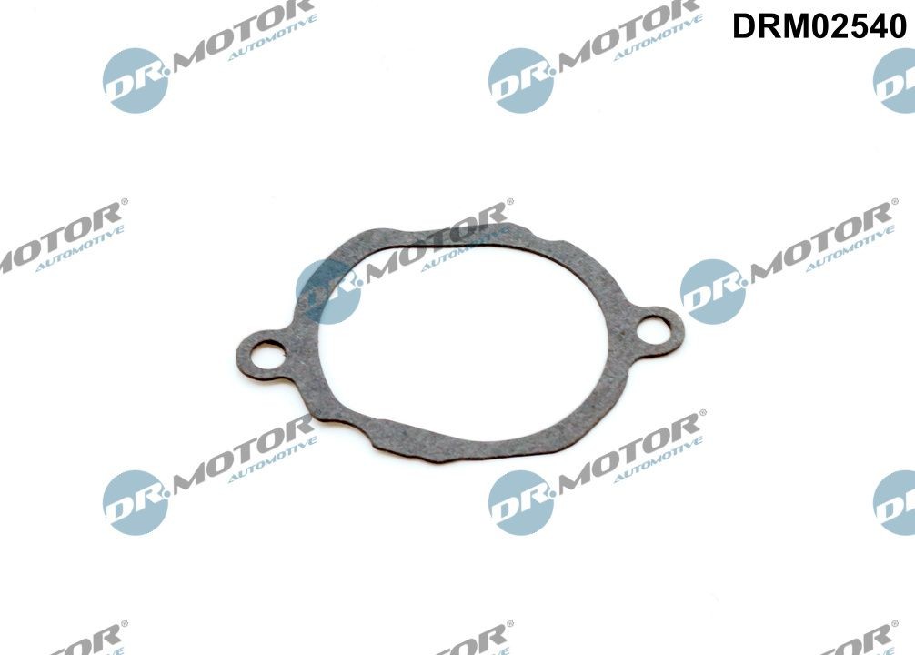 DR.MOTOR AUTOMOTIVE Pakning, termostat DRM02540 DR.MOTOR AUTOMOTIVE DRM02540 Pakning termostathus Mercedes W204 billig