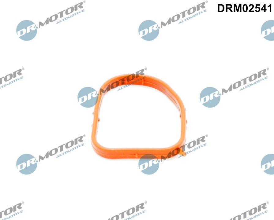 DR.MOTOR AUTOMOTIVE Pakking, koelmiddelkoppeling DRM02541 DR.MOTOR AUTOMOTIVE DRM02541 Pakking, koelmiddelkoppeling Mercedes C205 aan een voordelige prijs