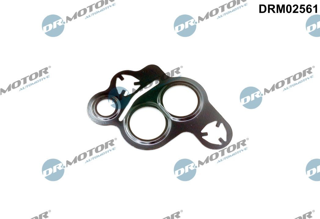 DR.MOTOR AUTOMOTIVE Guarnizione valvola EGR (ricircolo gas scarico) DRM02561 DR.MOTOR AUTOMOTIVE DRM02561 Guarnizione valvola egr Ford Focus 3 originale prezzo