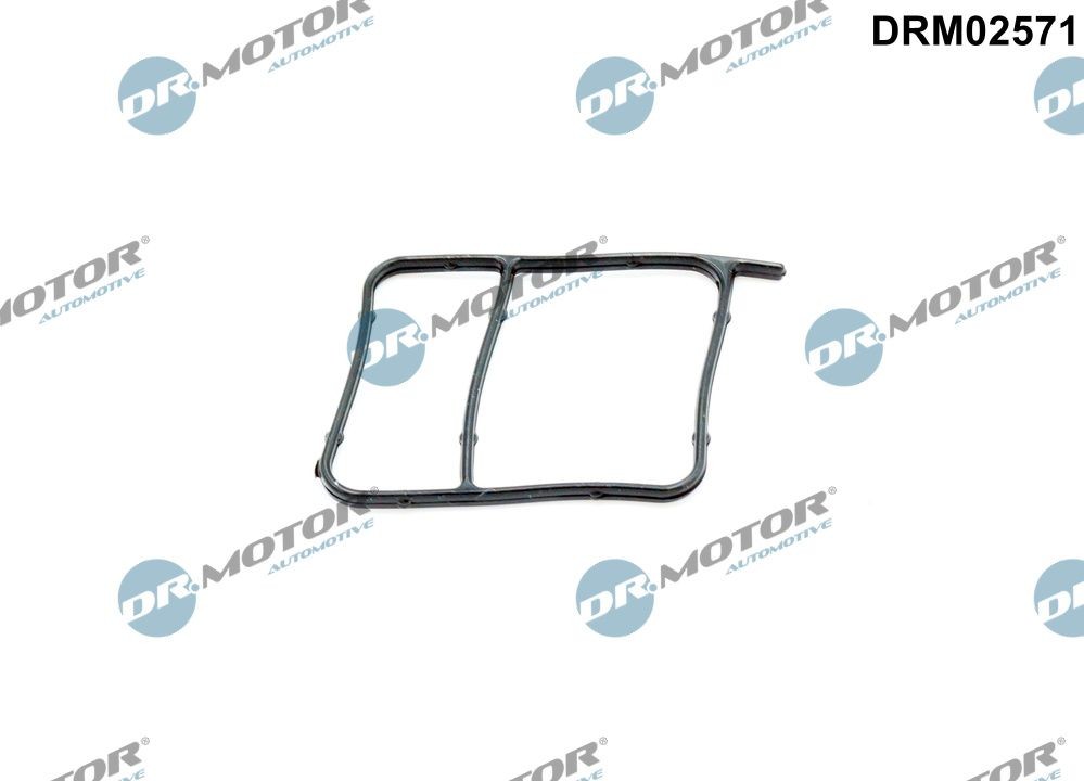 DR.MOTOR AUTOMOTIVE Tesnenie vodného čerpadla DRM02571 Tesnenie chladiacej sústavy BMW DR.MOTOR AUTOMOTIVE DRM02571