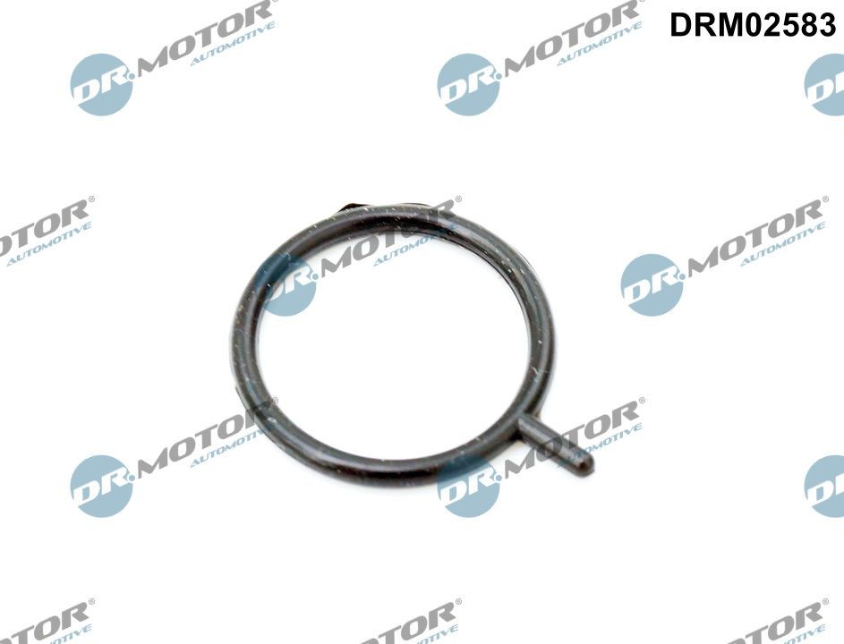 DR.MOTOR AUTOMOTIVE Joint, capteur du niveau d'huile DRM02583 DRM02583 Sonde de niveau d'huile BMW X1 DR.MOTOR AUTOMOTIVE