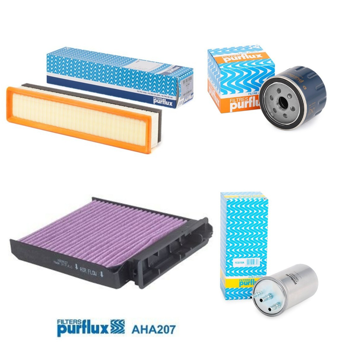 PURFLUX Filterset PFX4055N0031 PFX4055N0031 Onderhoudspakket en filterset PURFLUX RENAULT EXPRESS
