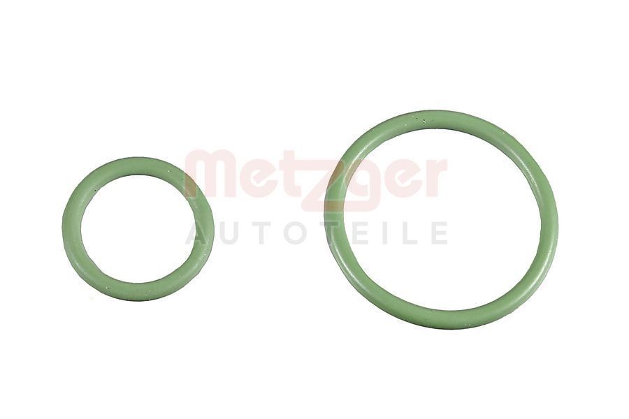 METZGER Kit guarnizioni, Pompa iniezione 0873069 METZGER 0873069 Guarnizione, pompa iniezione 604 Sedan prezzo