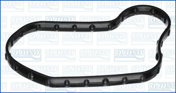 AJUSA Guarnizione, Carter filtro olio 01898100 AJUSA 01898100 Guarnizione, carter filtro olio F-150 Mk11 prezzo