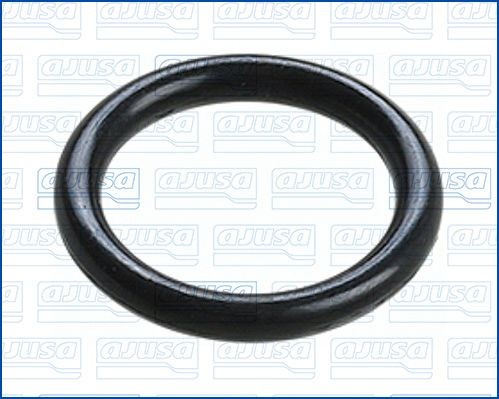 AJUSA Guarnizione, Condotto d. refrigerante 16010400 AJUSA 16010400 Tubo radiatore Q45 (F50) prezzo