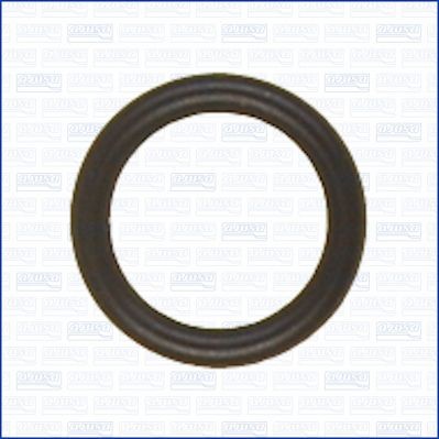 AJUSA Afdichting, oliepeilstok 16088700 AJUSA 16088700 Peilstok BMW E36 Touring prijs