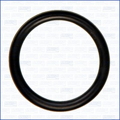 AJUSA Tätning, kylvätskeledning 16102100 16102100 AJUSA kylvattenslang RENAULT TWINGO