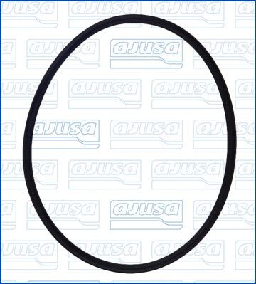 AJUSA Guarnizione, Pompa iniezione 16117900 AJUSA 16117900 Guarnizione, pompa iniezione VW Touareg 7p originali prezzo