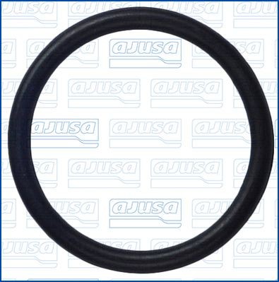 AJUSA Guarnizione, Condotto d. refrigerante 16506400 AJUSA 16506400 Tubo acqua radiatore Infiniti M Y51 prezzo