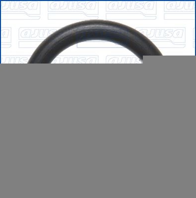 AJUSA Tesnenie obalu termostatu 16556800 AJUSA 16556800 Tesnenie termostatu Ford USA ESCORT originálne