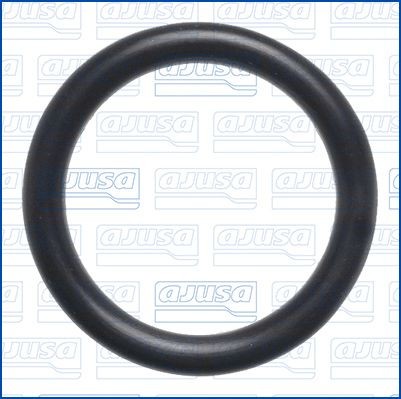 AJUSA Tiivisterengas 16566800 16566800 AJUSA Jäähdyttimen letku VW SHARAN