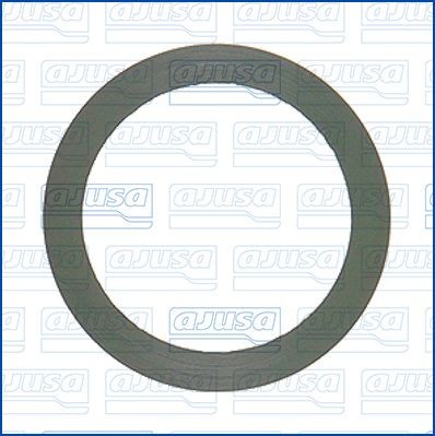 AJUSA Pakking, oliepomp 24055900 Mercedes-Benz VARIO Oliepomp pakking AJUSA 24055900