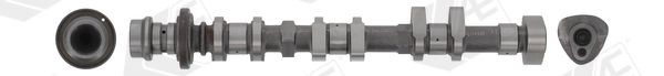 AE Camshaft CAM1052 AE CAM1052 genuine Ford Transit Courier Van camshaft kit price