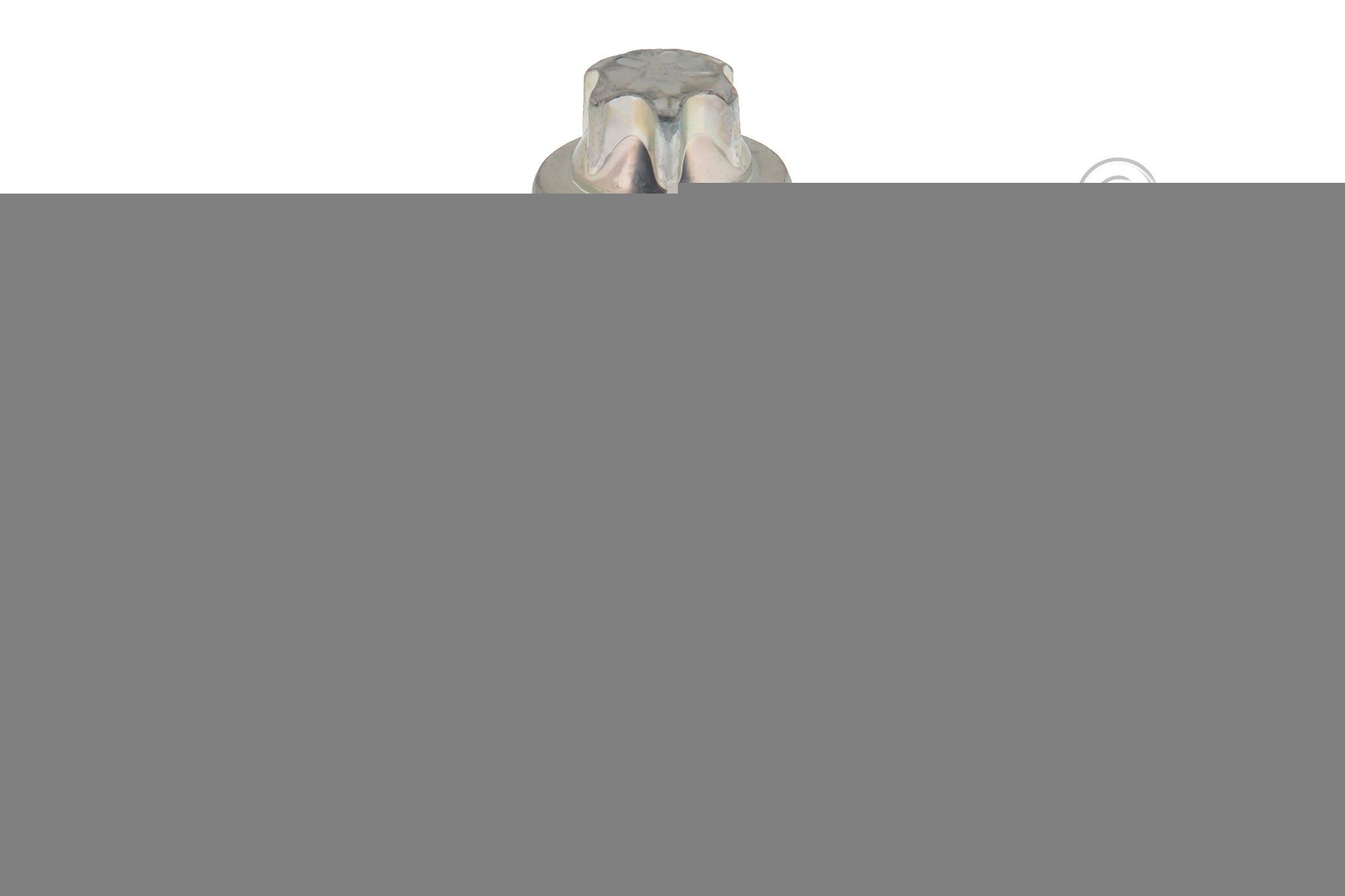 TOPRAN Skrue / bolt, kardanakselflange 411 098 Skrue / bolt, kardanakselflange TOPRAN VARIO 411 098 billig