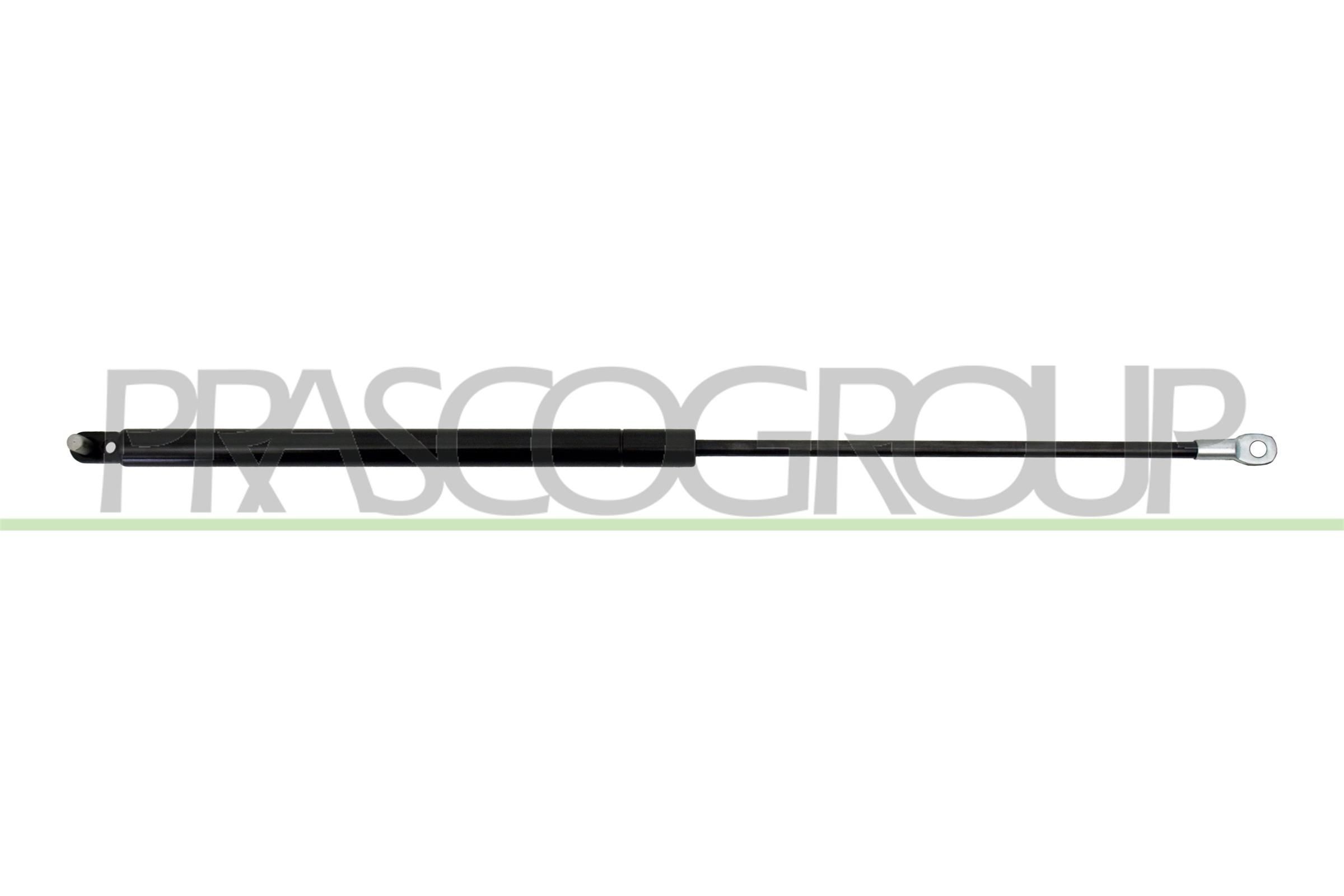 PRASCO Gasveer achterklep FT1219065 Achterklep veren PRASCO DOBLO FT1219065 goedkoop
