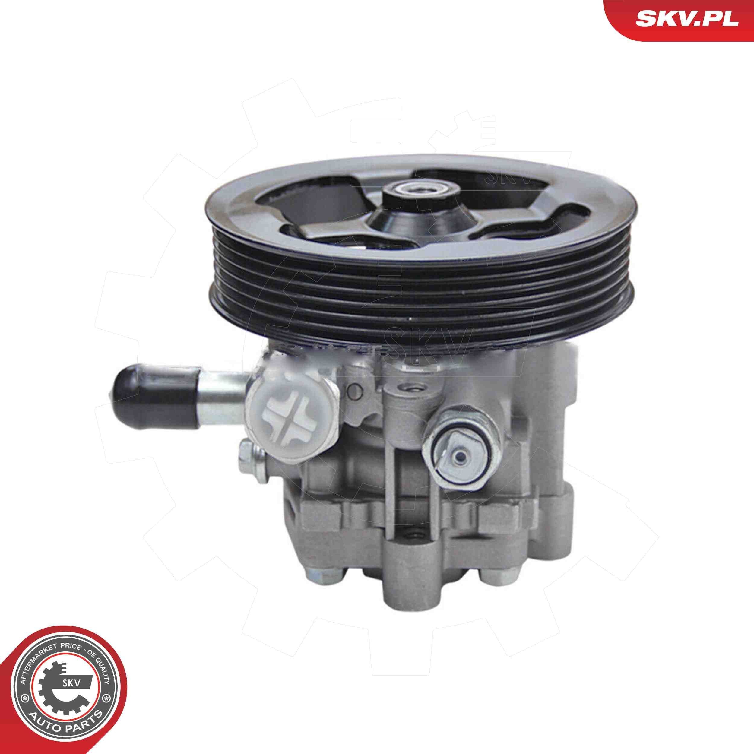 ESEN SKV Servopumpe 10SKV343 ESEN SKV 10SKV343 Elektrische Servopumpe MITSUBISHI Kosten