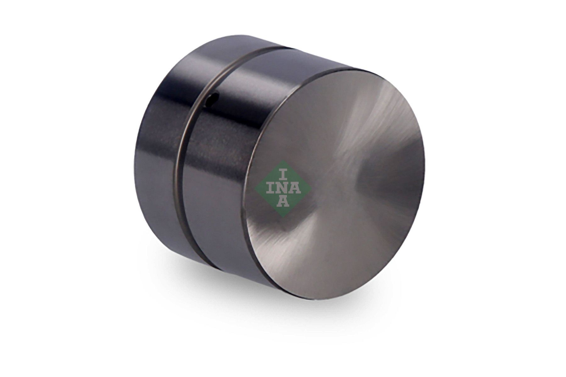 INA Zdvihátko ventilu 420 0061 10 INA 420 0061 10 Zdvihátko ventilu LDV 200 lacné