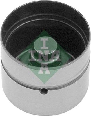 INA Klepstoter 420 0074 10 INA 420007410 Klepstoters Chevrolet AVEO originele