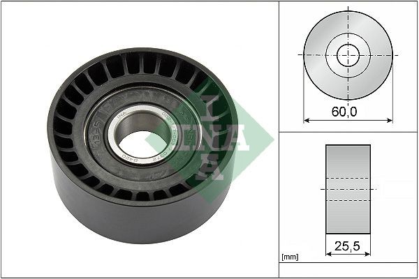 INA Polia de desvio / de guia, correia trapezoidal estriada 532 0243 10 INA 532024310 Polia de desvio de guia correia trapezoidal estriada Renault Laguna II preço