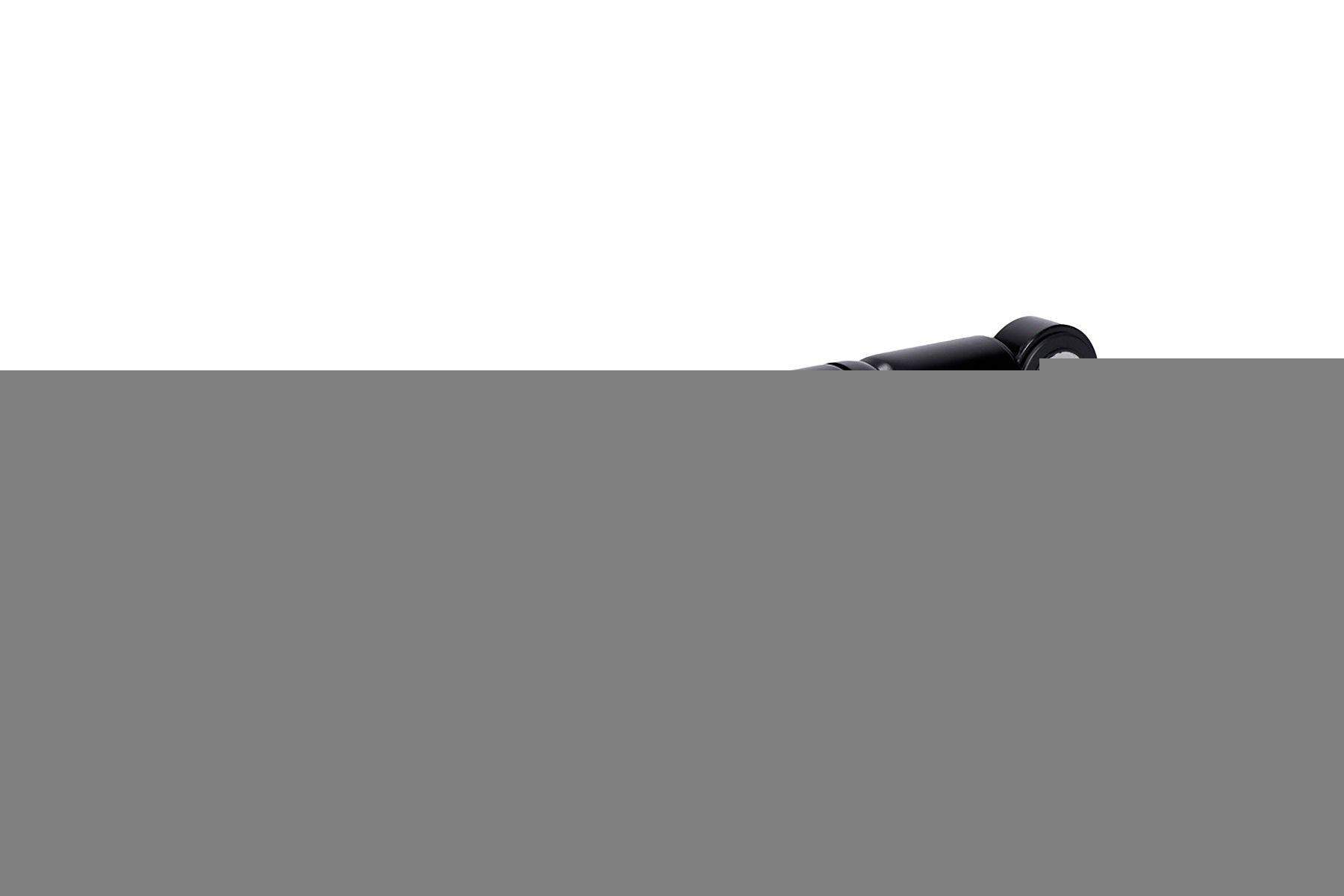 INA Vibratiedemper, Poly V-riem 533 0100 10 Kia VENGA Vibratiedemper, poly v-riem INA 533 0100 10